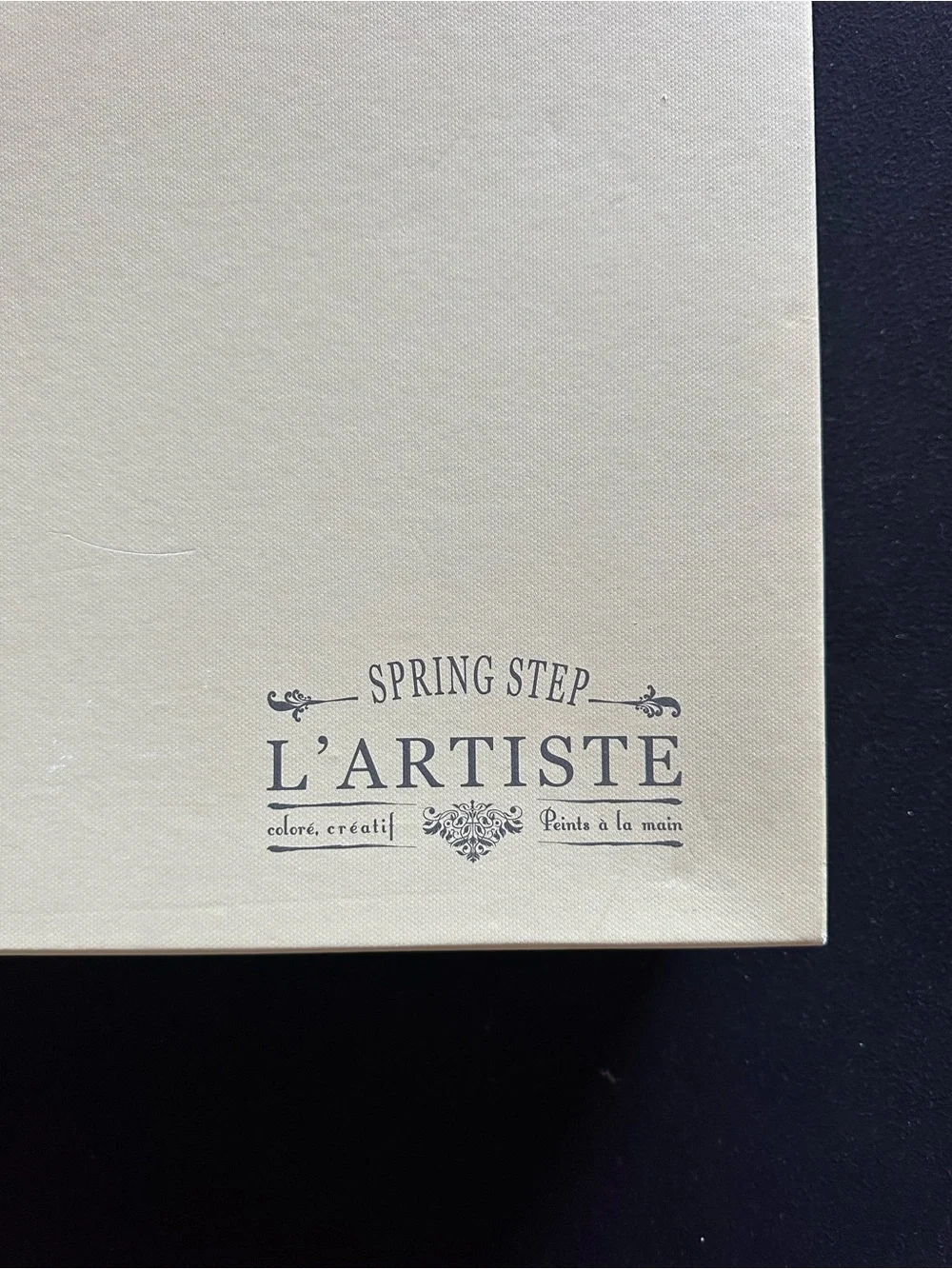 Brand New! L’Artiste Tortoise Western Cowboy Vintage Boots floral interior